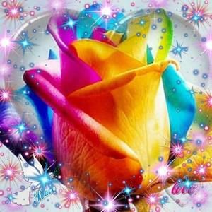 Meet your Posher, Brandy